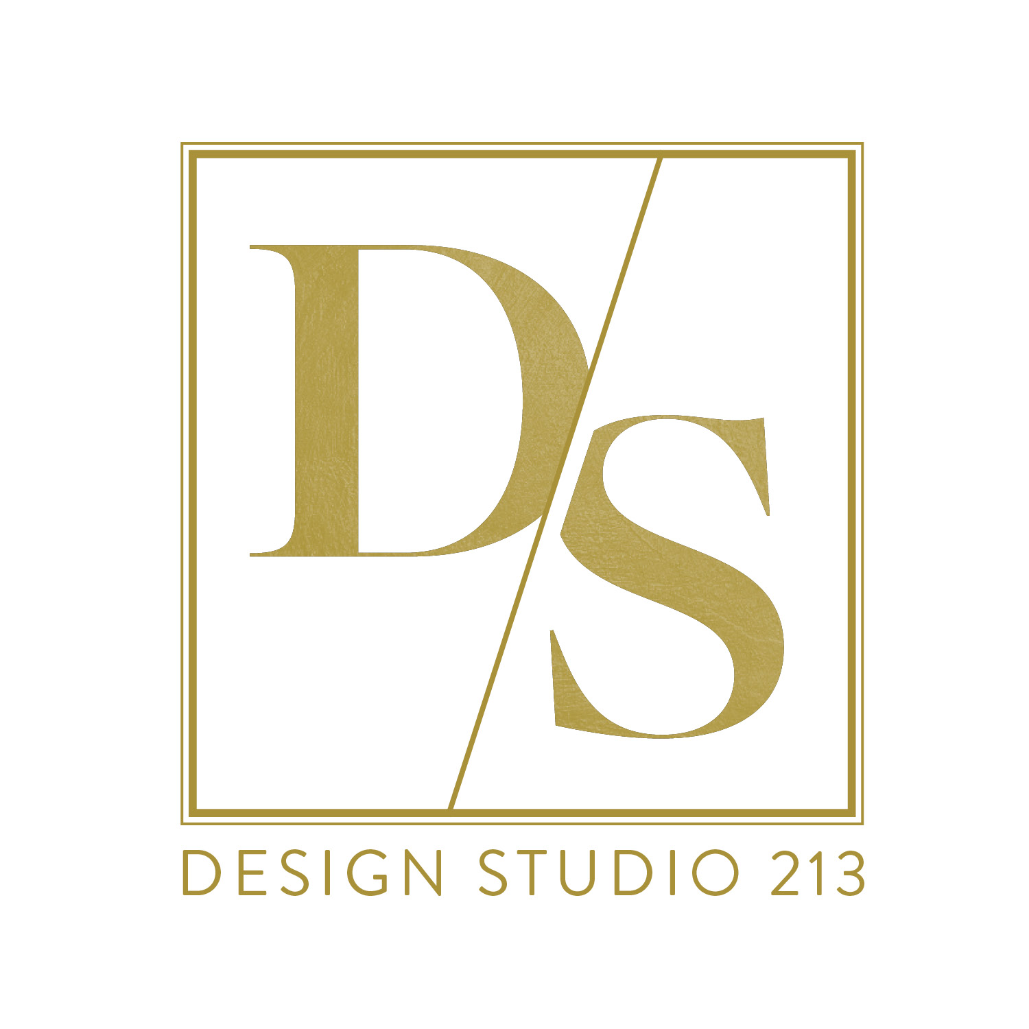 36. Logo-DS213